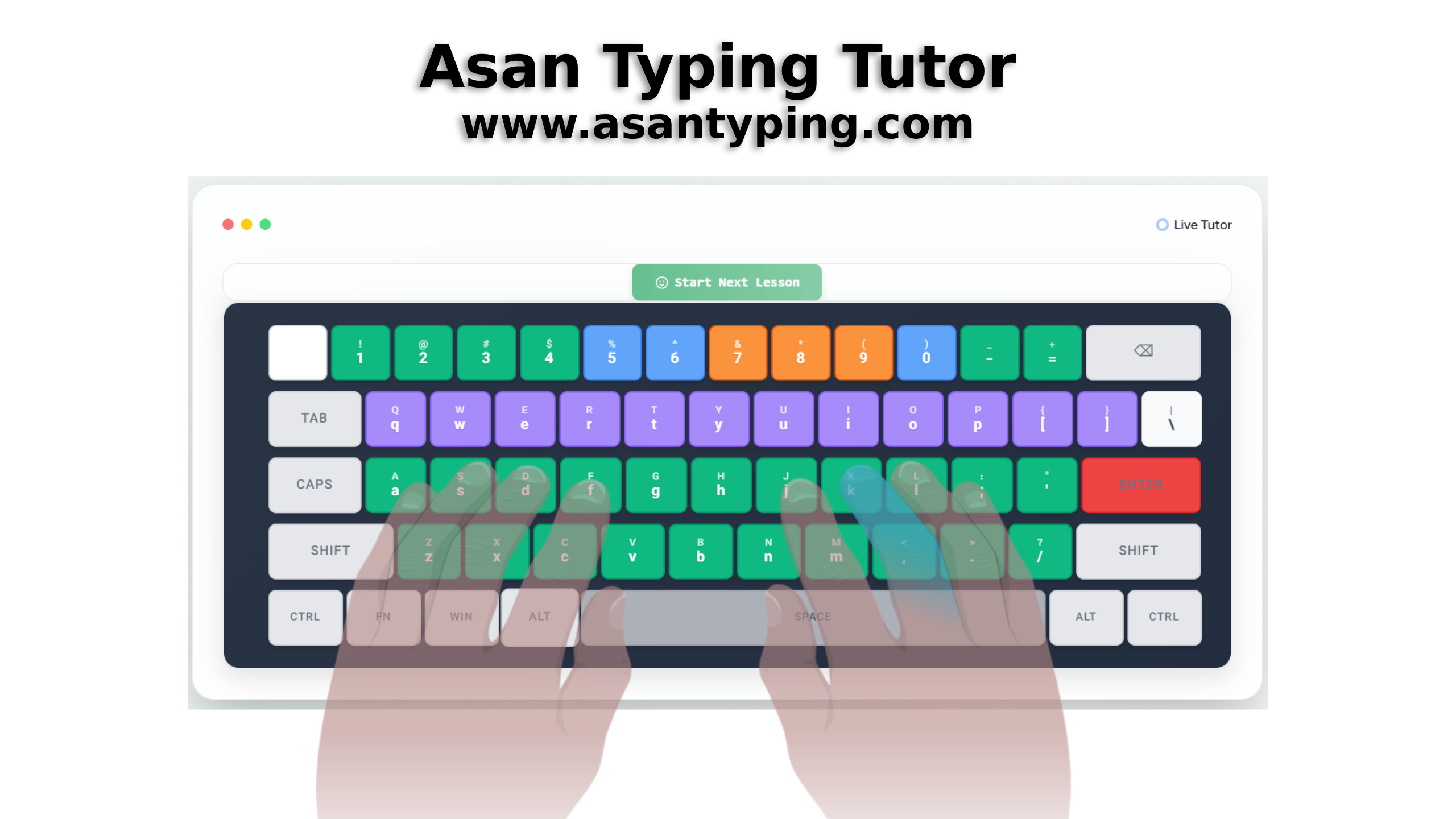 Interactive Typing Tutor Keyboard - Visual keyboard with highlighted keys for touch typing practice